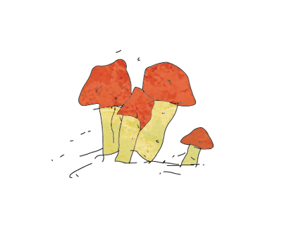 Klima