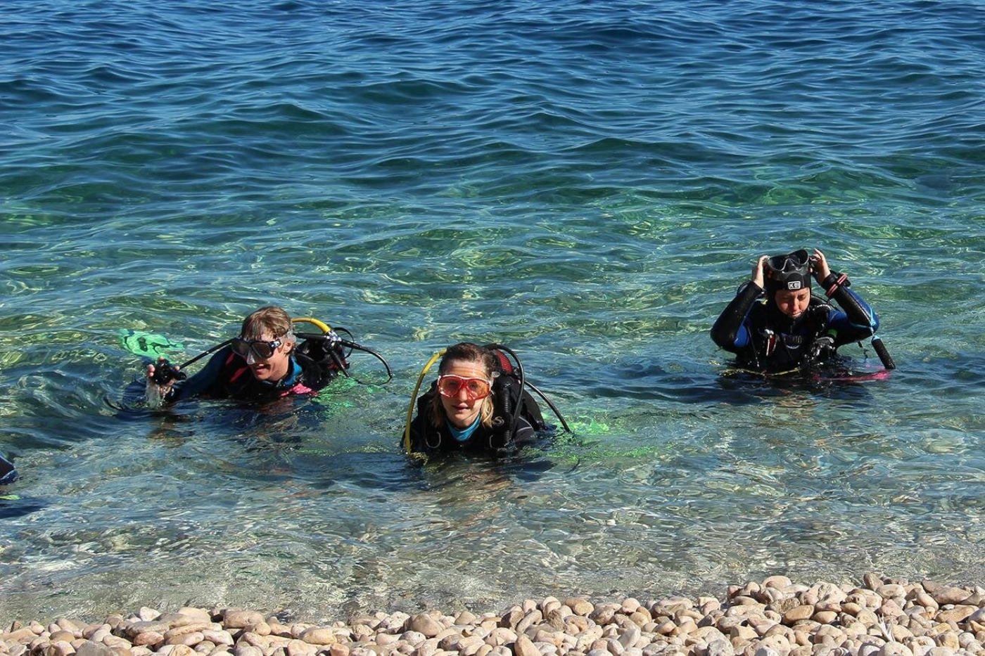 Diving Beli #2